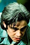 Benicio Del Toro